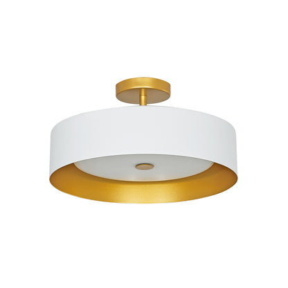 Lynch Semi Flush Mount